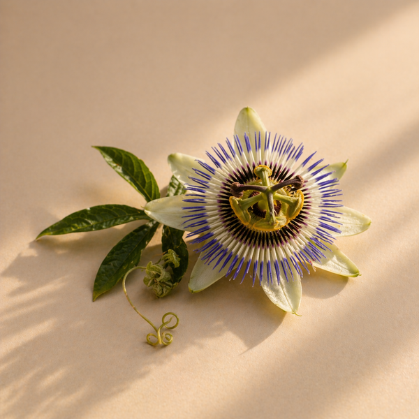 Passionsblomst